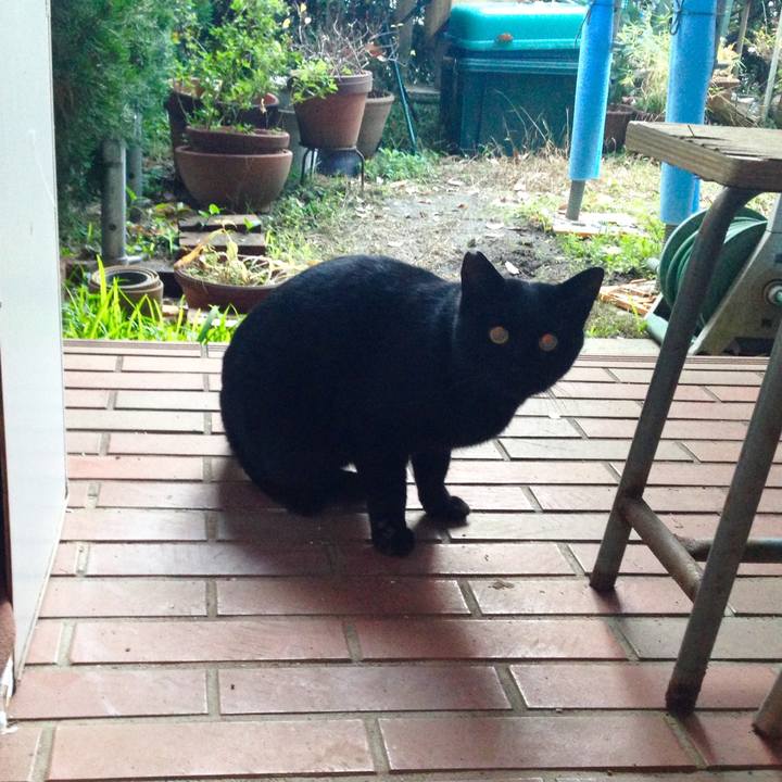 9a68d060 661d 4a07 869a df6c6915dbe2