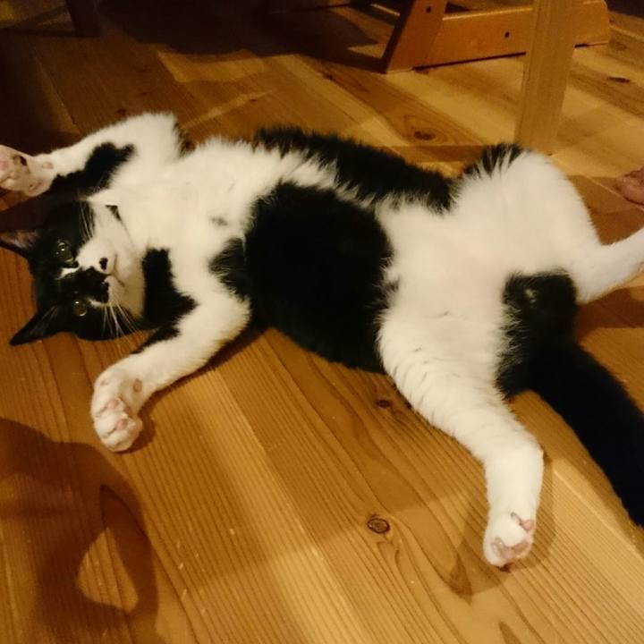 9a6903a5 76ee 4af3 a283 c8f3af4df5d8