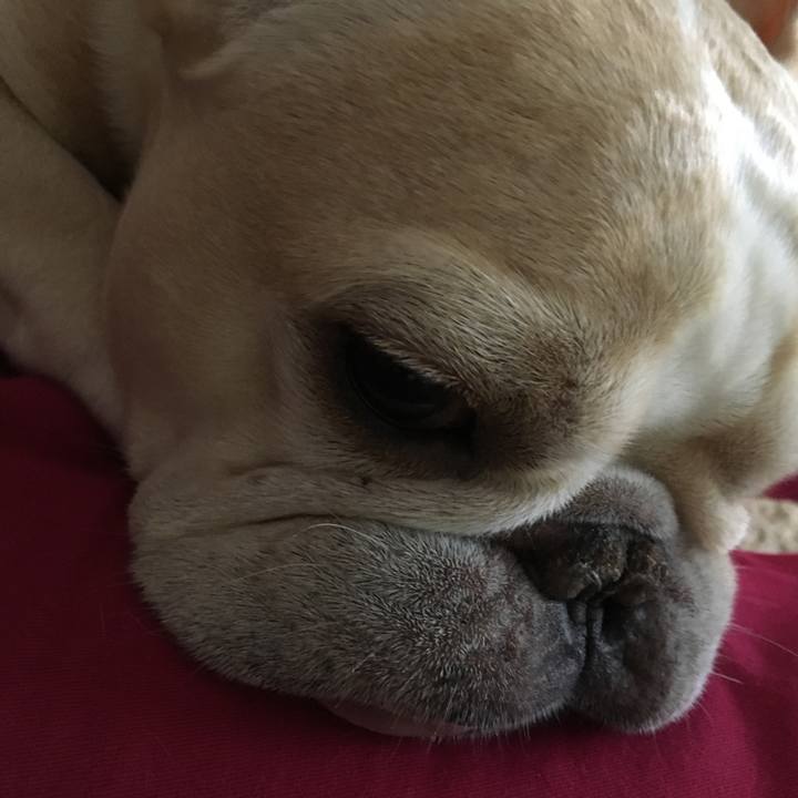 9a69daec 5fd9 4b95 b39f 807dc7c154c9