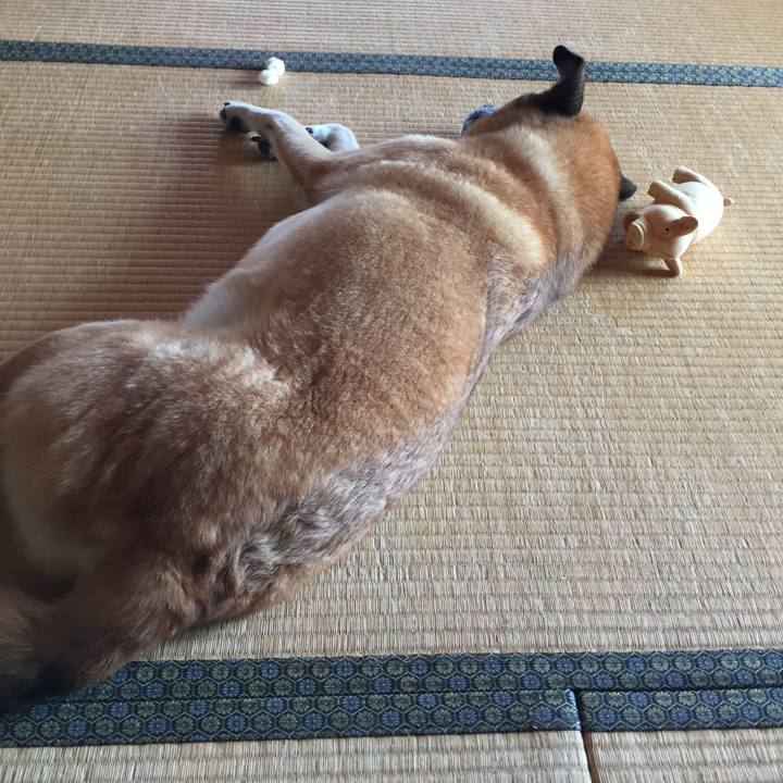 9a6a12f3 2fa0 4e81 9f39 a1326340c6ba