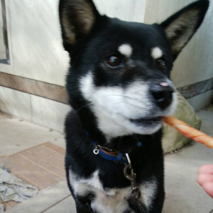 9a6b3280 dc3c 4857 a4bc fbbd1a09702b