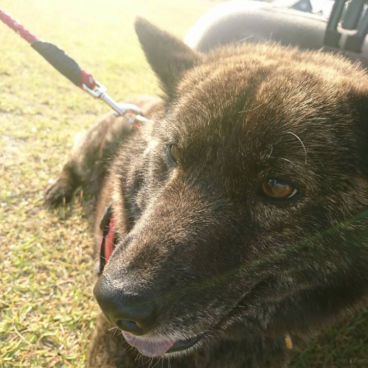 9a6b3cba 4bc9 4605 9f78 0bb2765546d5