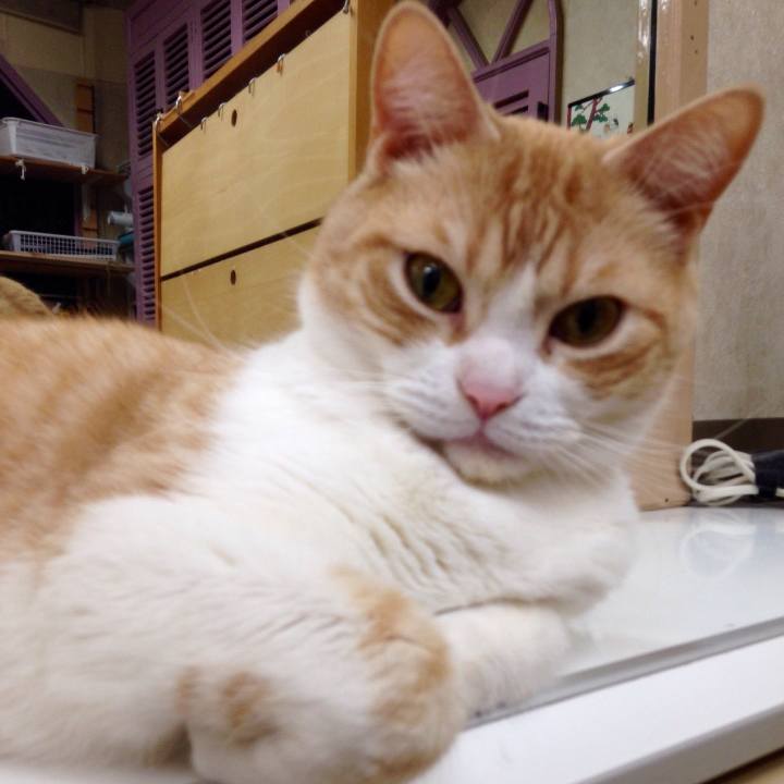 9a6b3f7b af95 482b 8442 d079f6d6da14