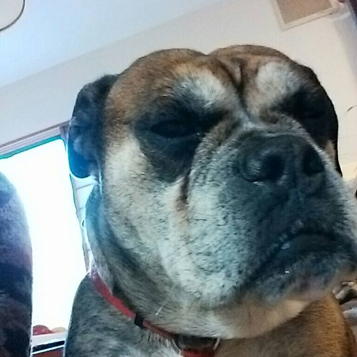 9a6b63d0 1f4c 40df a693 baff006dd034