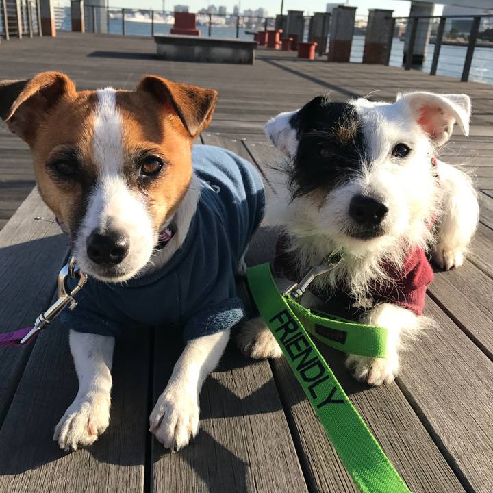 9a6b7959 7121 411c 8b11 27afba1e81d8