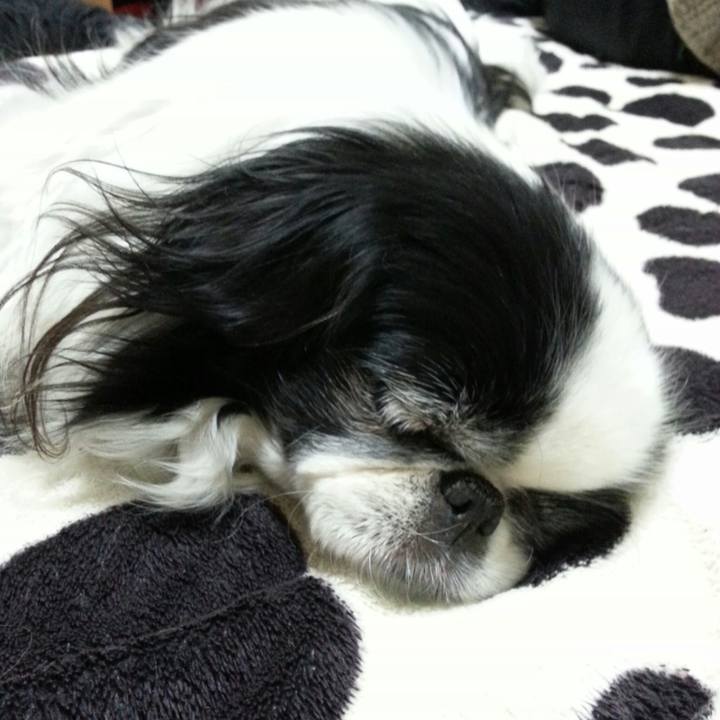 9a6b8a46 5ab8 46c5 b07f 63a9d2281ce6