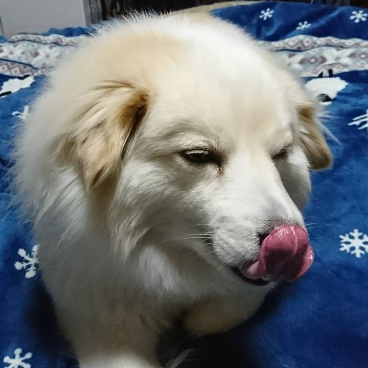 9a6bd442 a3dc 488f 806b bd90d57ad034