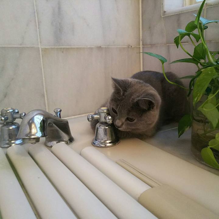 9a6c6b01 ecb9 4b9f ba52 3076ba342ecb