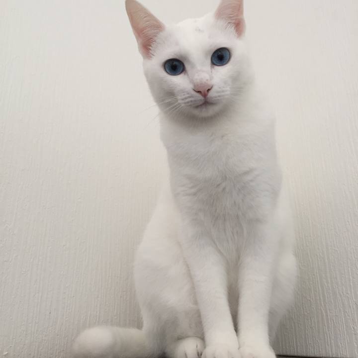 9a6d260f 76e0 47dd b9e2 eda742785bac