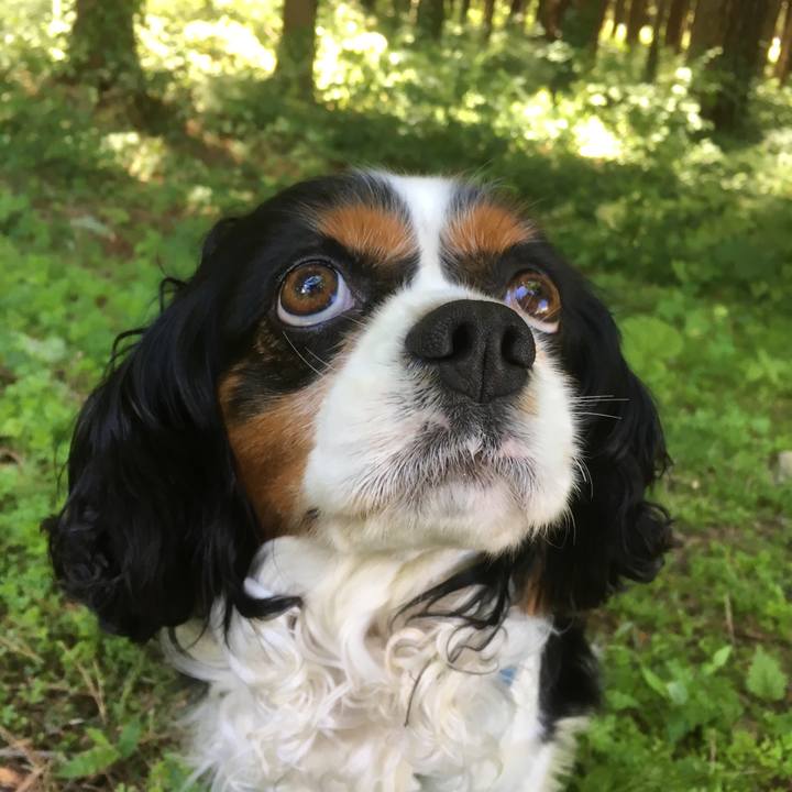 9a6d306c 5a14 42ad a905 05ed842b33d6