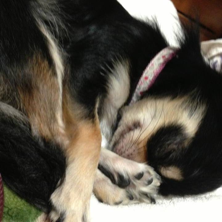 9a6e2beb 35ea 456e a639 fd53542afc61