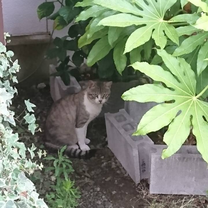 9a6f4a4b eae9 4fee 9e19 a758d9374ce2