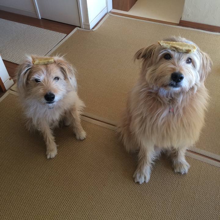 9a6f6827 e6c0 4269 84c4 4c7a467aad48