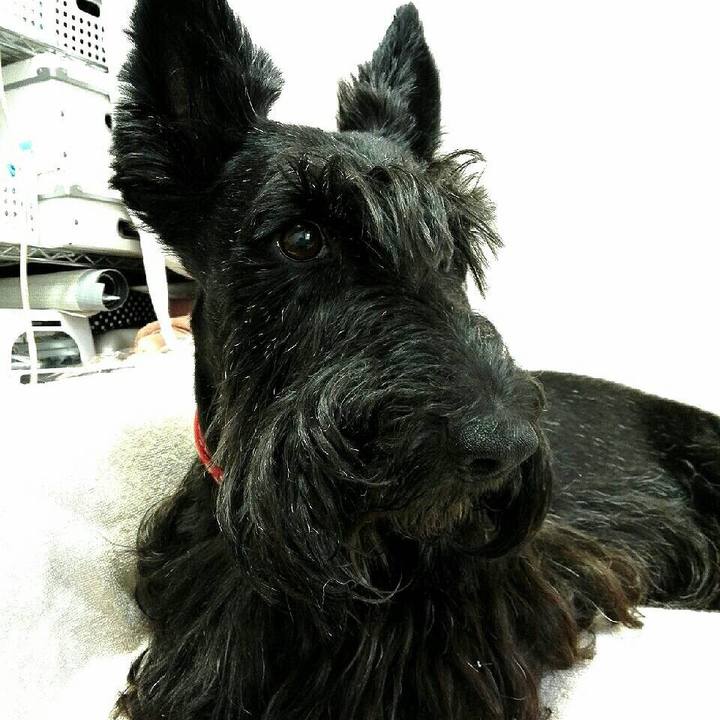 9a705e00 c2eb 4456 8015 71856b709cbb