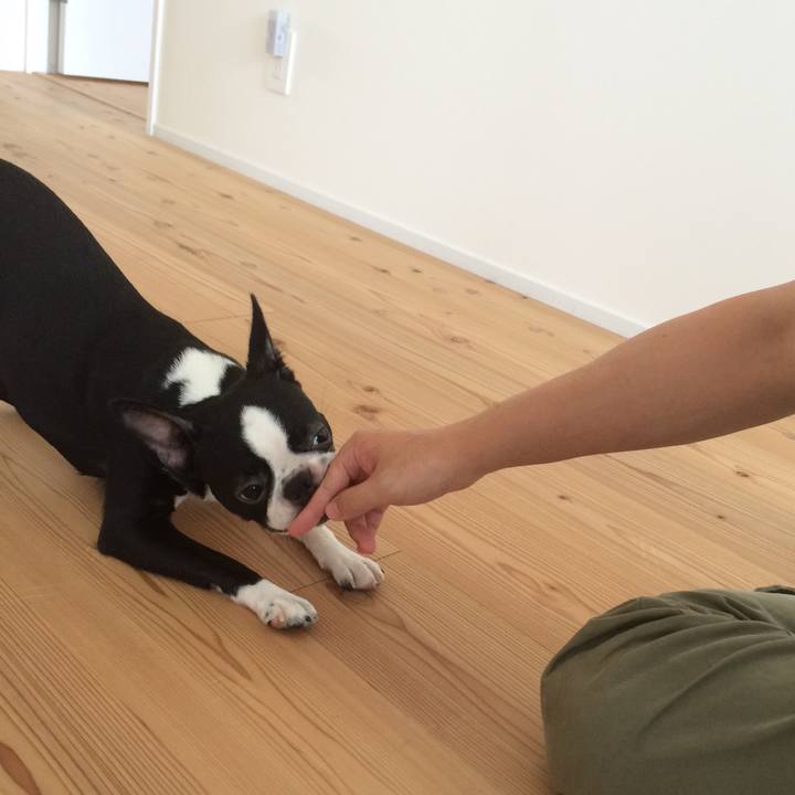 9a70ab8f 5395 476d bd15 40de0bfebe00