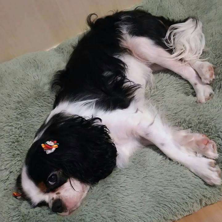 9a71c12c 796d 46e9 b274 3db68b8a5ec0