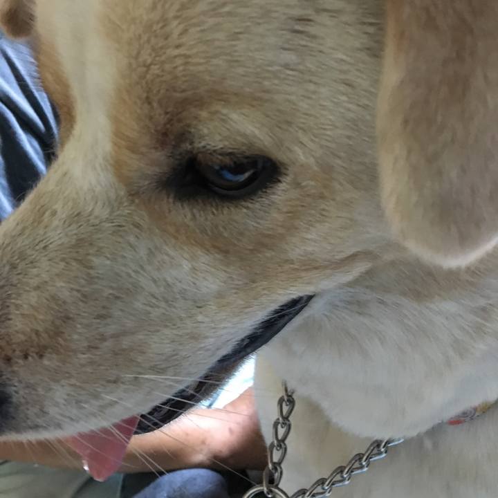 9a725f57 57e4 4a9e 8edc 24305b03f5ef