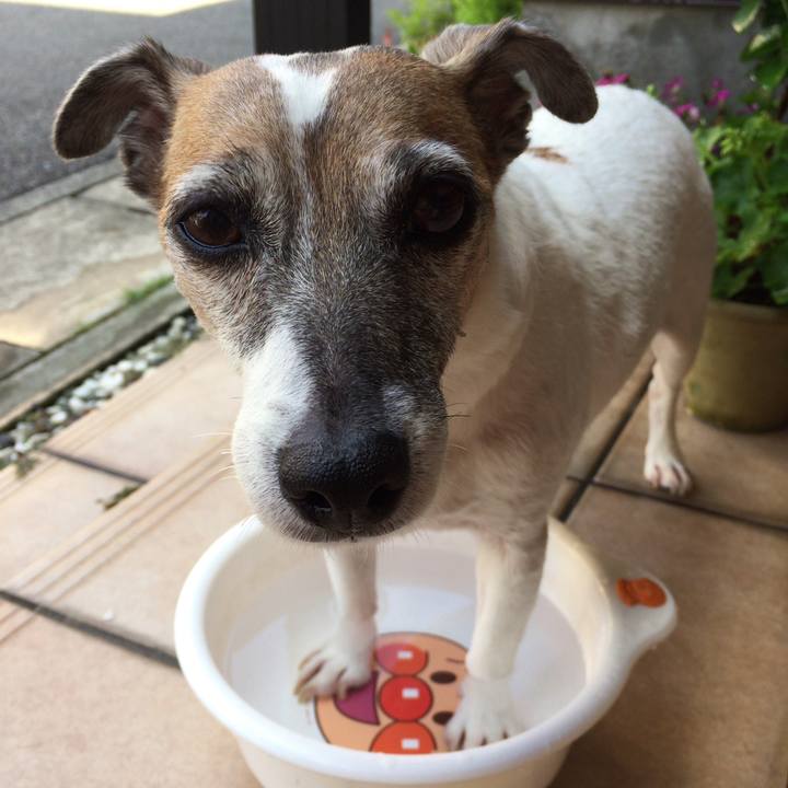 9a72698d 372a 4098 8980 caf1a53430a5