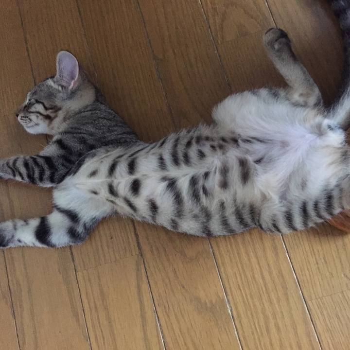 9a732a22 faa5 4446 b95c 3e3fa5abc3e5