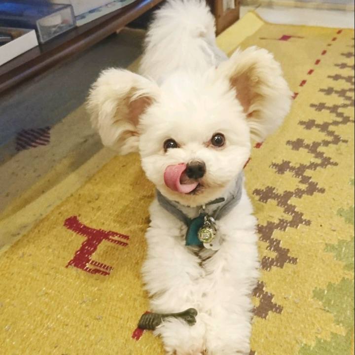 9a732e72 1ab9 44d0 8373 56c6e1b9228f