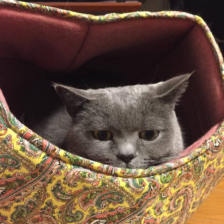 9a73dd09 1a49 485c b451 93704ab25fc9