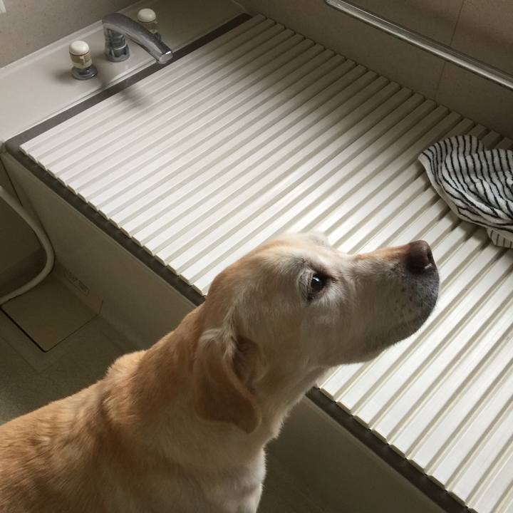 9a73ef6f 68b6 4125 9808 84560e0bad6a