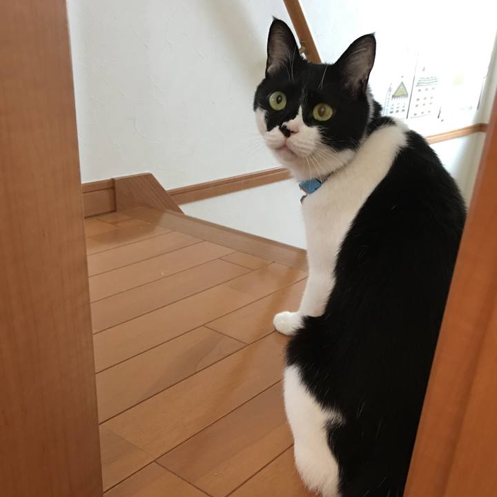 9a740a78 84f6 4c03 bef4 cb2a79d799b2