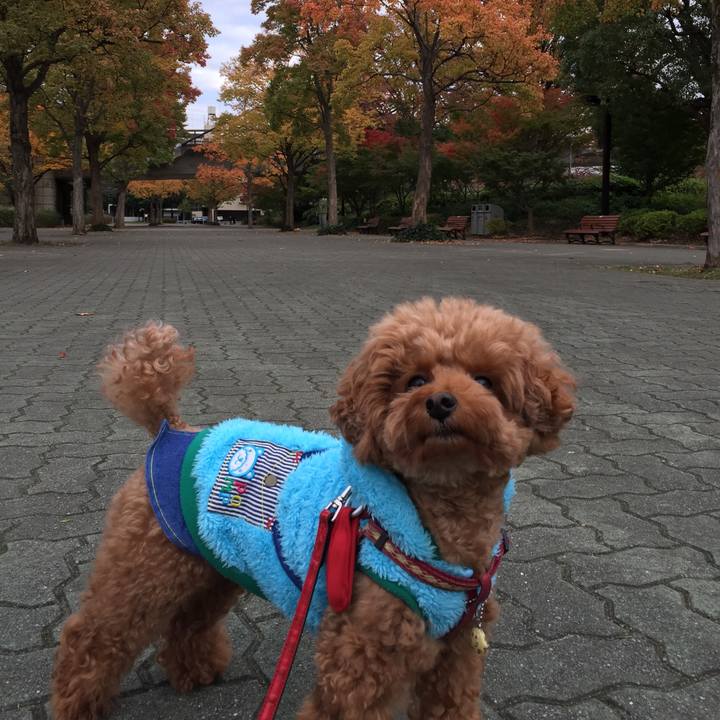 9a74b6f2 4eb1 4bb0 916d a0806d3368fe