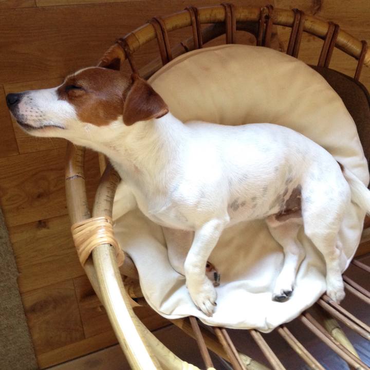 9a74dff9 81b6 465d 93f8 b5d4c50ed044