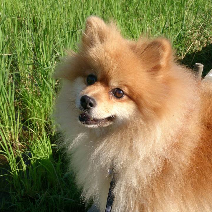 9a75156c a9c6 47d7 ba10 bbe5dced2f76