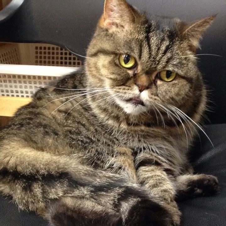 9a760cd9 c9c7 49fc bd4d 474d897d2700