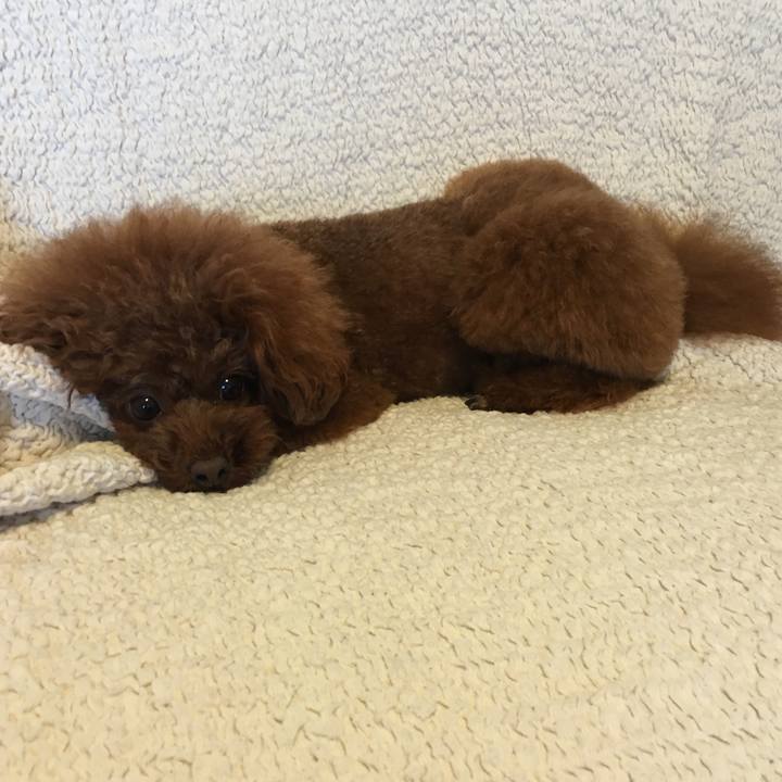 9a763cf5 ea88 48f8 8270 d31d77562fc2