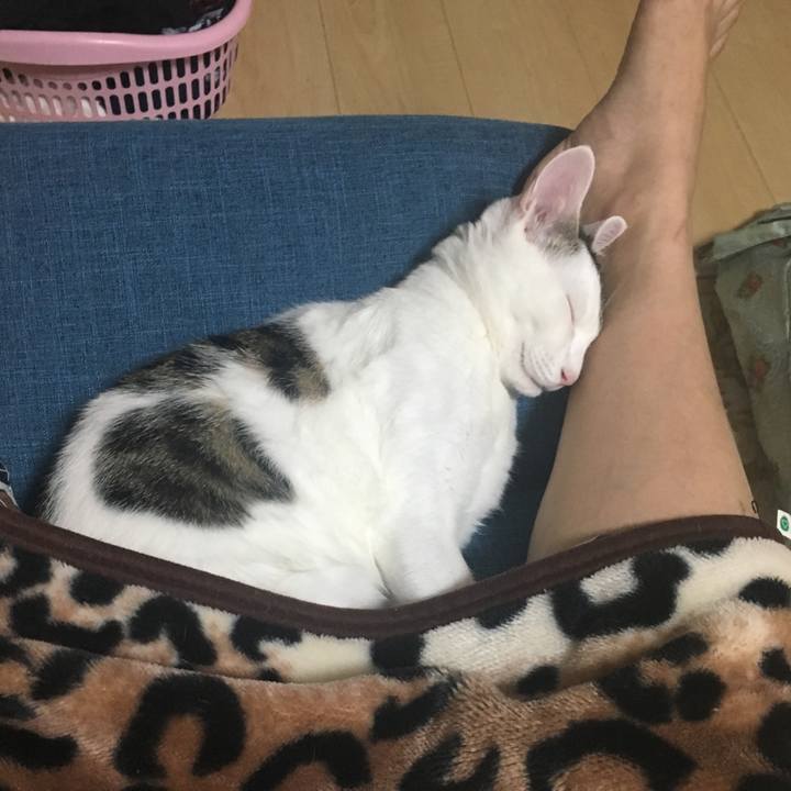 9a765a0c fae7 4dfa 86a1 ae06d4e5577c