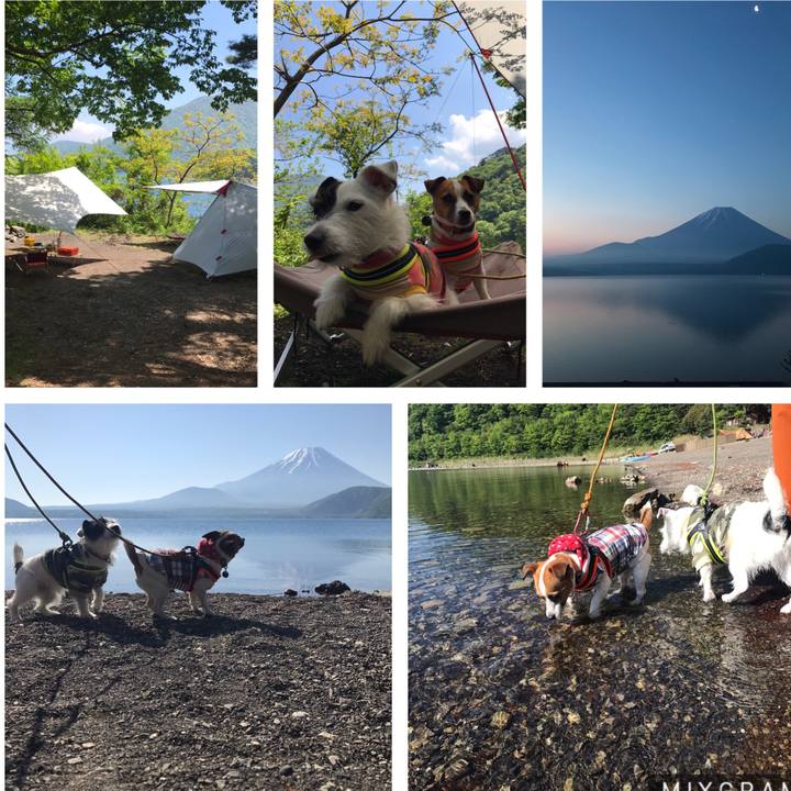 9a770a44 b166 412e 8174 63b70533c21a