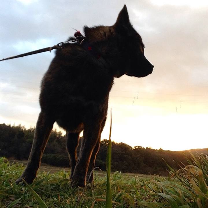 9a77c794 3079 4012 95b5 e81952fa8294