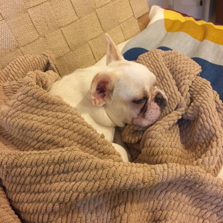 9a780306 be32 423e baea 20bf5c89ed40