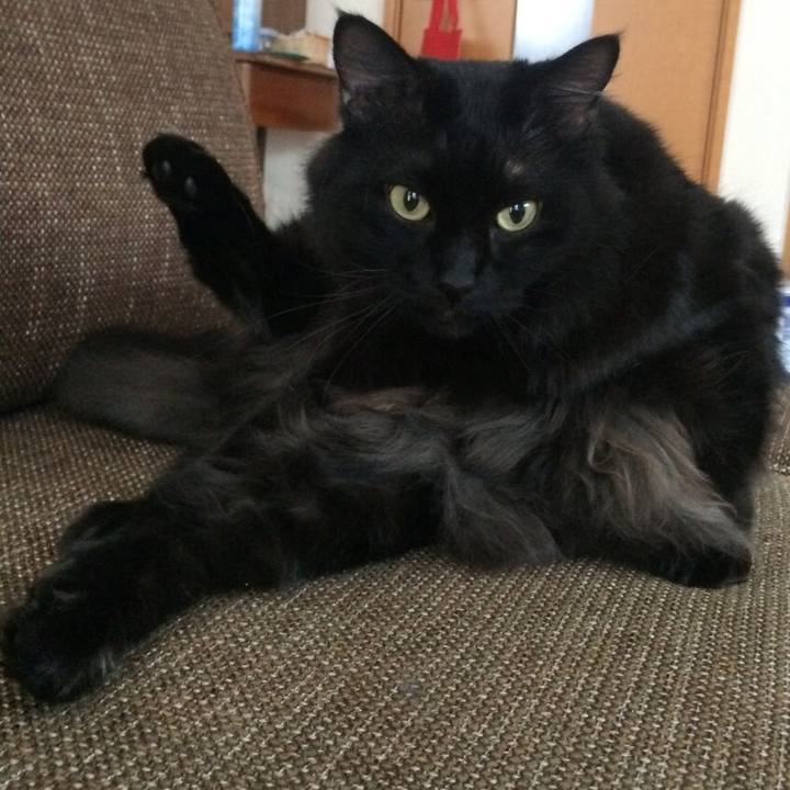 9a7905e4 dda8 46f1 a389 3fa0af900858