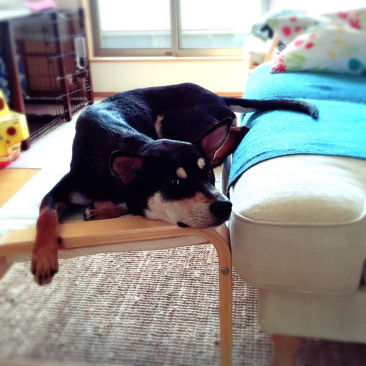 9a79dd71 60e8 44ba b5d7 8e9d9cd9d05d