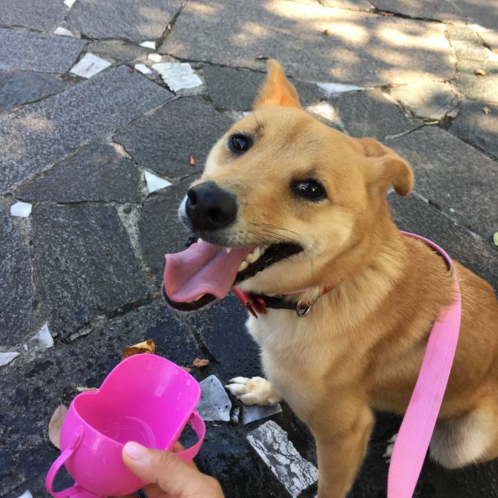 9a7a2801 d344 4048 bbac d34d20b211b8