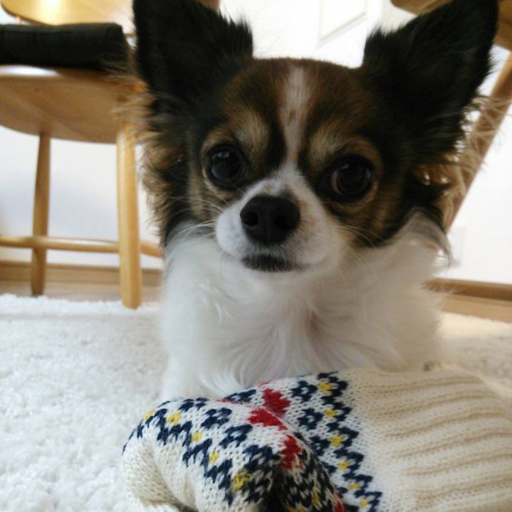 9a7a97ff bfed 496c 9d50 fec7b747b1d8