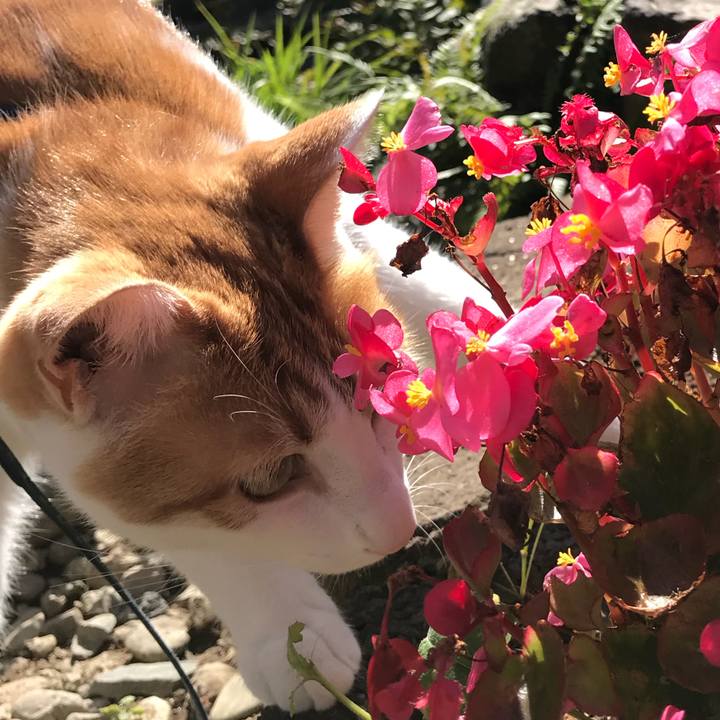 9a7afd8c 7978 4387 bc83 13eb41e4783b