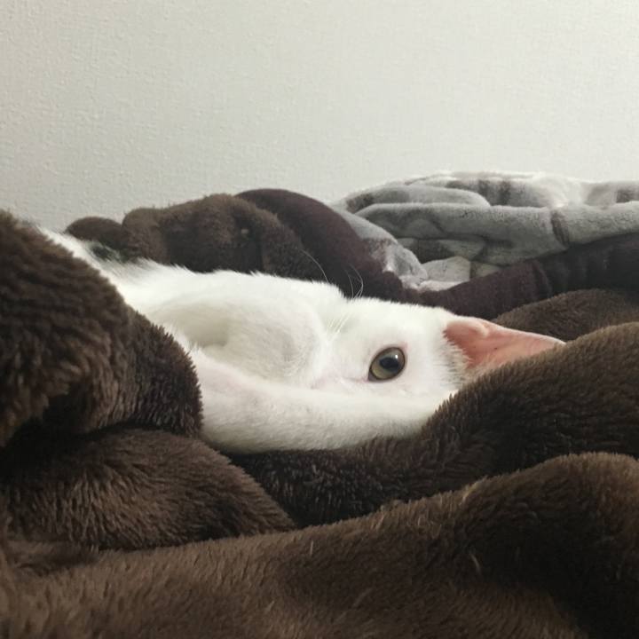 9a7b846d 3024 4b30 a0e6 21fdfd9a358a