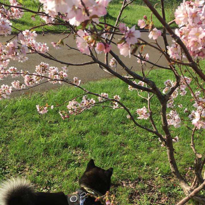 9a7b8e3d 4b2f 45f3 911f f452072b495b