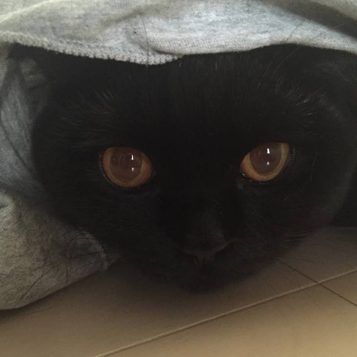 9a7ba1f1 f047 41b6 9d91 8cc51d9e5a8c