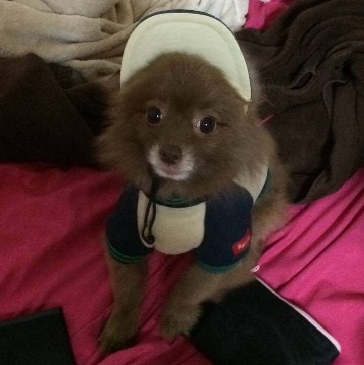 9a7ba260 7da9 4789 86d2 ea8b93835d2e