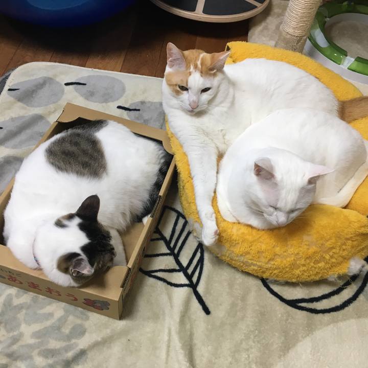 9a7c156f 77b7 4423 8417 acc303e0a3d4