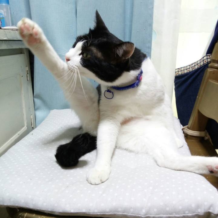 9a7c839c 62a7 4d8d b056 64659e8571b8