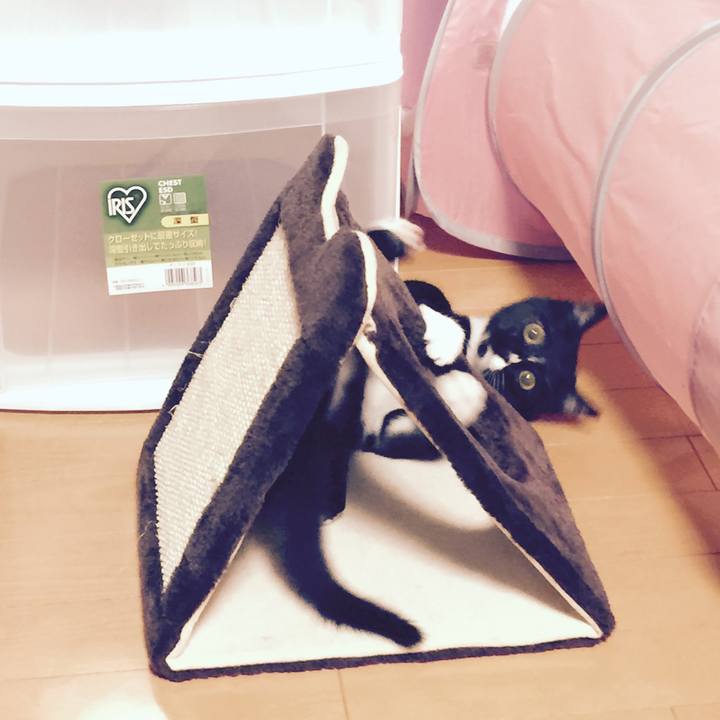 9a7ca6bc 8eee 428f 974f 7d3cacb653a5