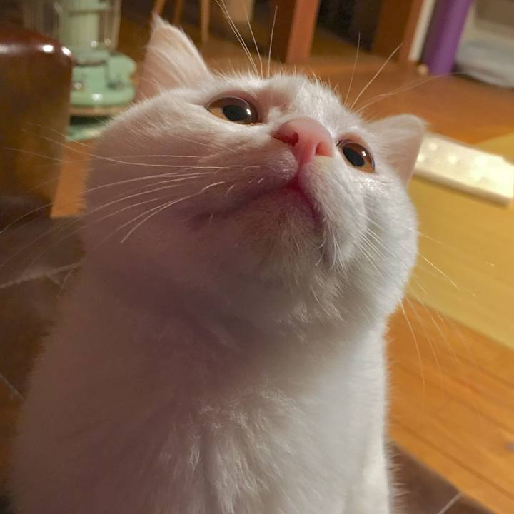 9a7dcfa9 9ca0 471d 82c9 829663948f50