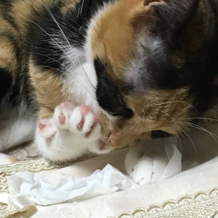 9a7dd82c 65ab 46c9 a912 ca417b2427f9